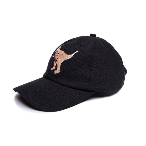 SPECIAL DINO CAP // BLACK