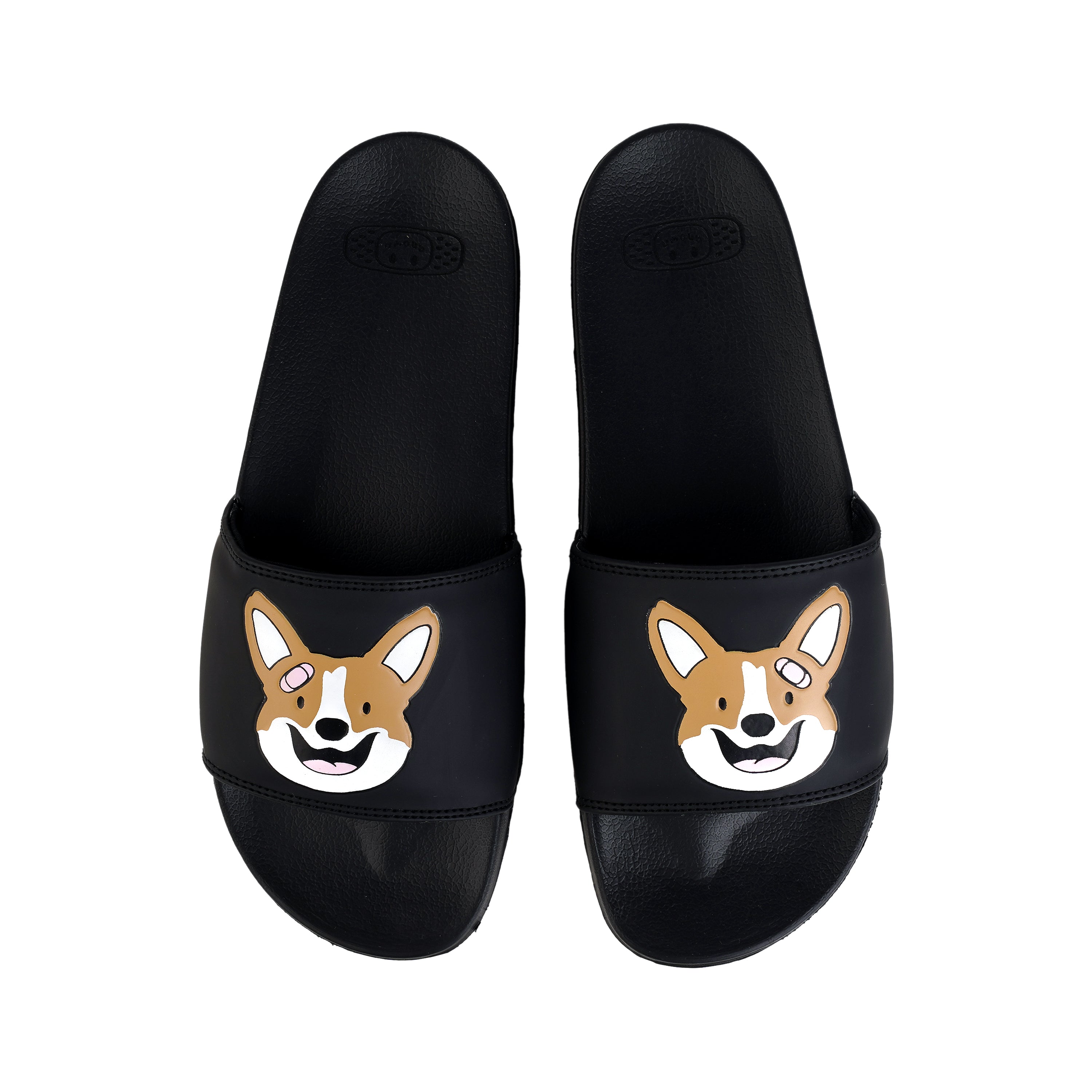 Corgi slides 2024